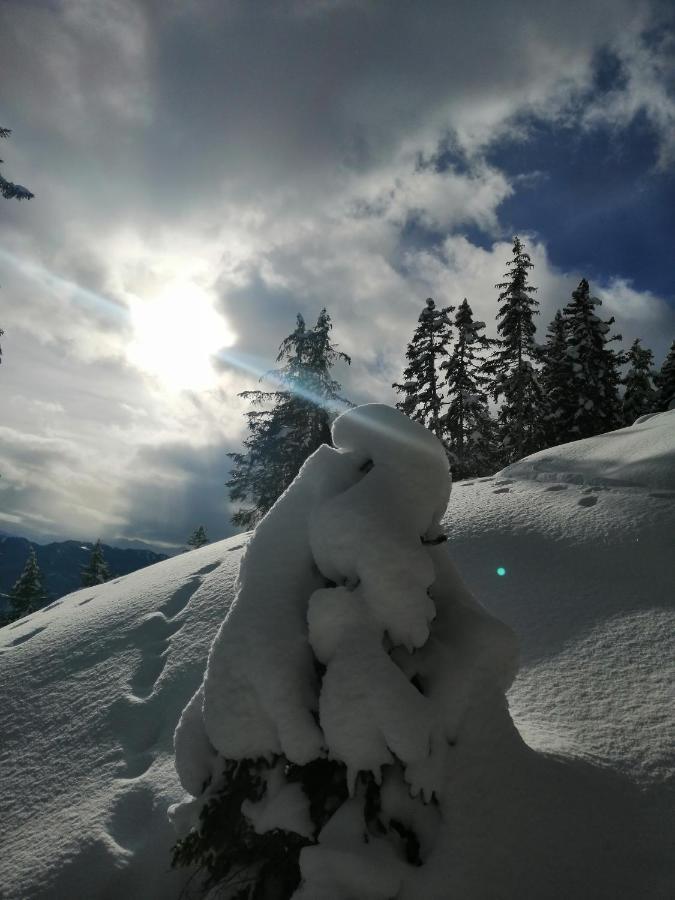 Hotel Garni Alpendiamant ฟิสส์ ภายนอก รูปภาพ