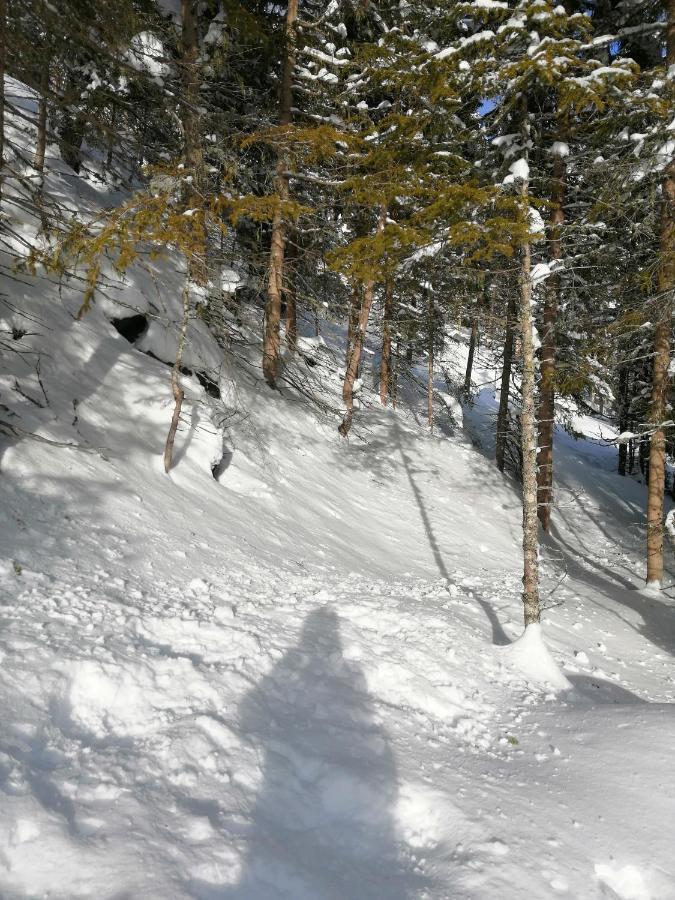 Hotel Garni Alpendiamant ฟิสส์ ภายนอก รูปภาพ